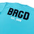 WORLD BRGD DRY TEE - ARG